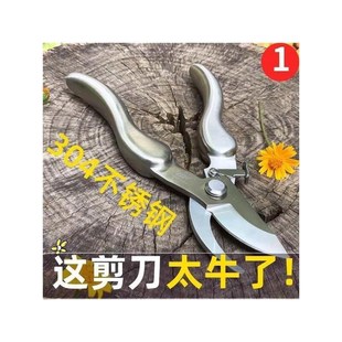 德国省力树剪不锈钢弹簧剪树枝剪刀修枝剪果树园艺花果摘果园林厂