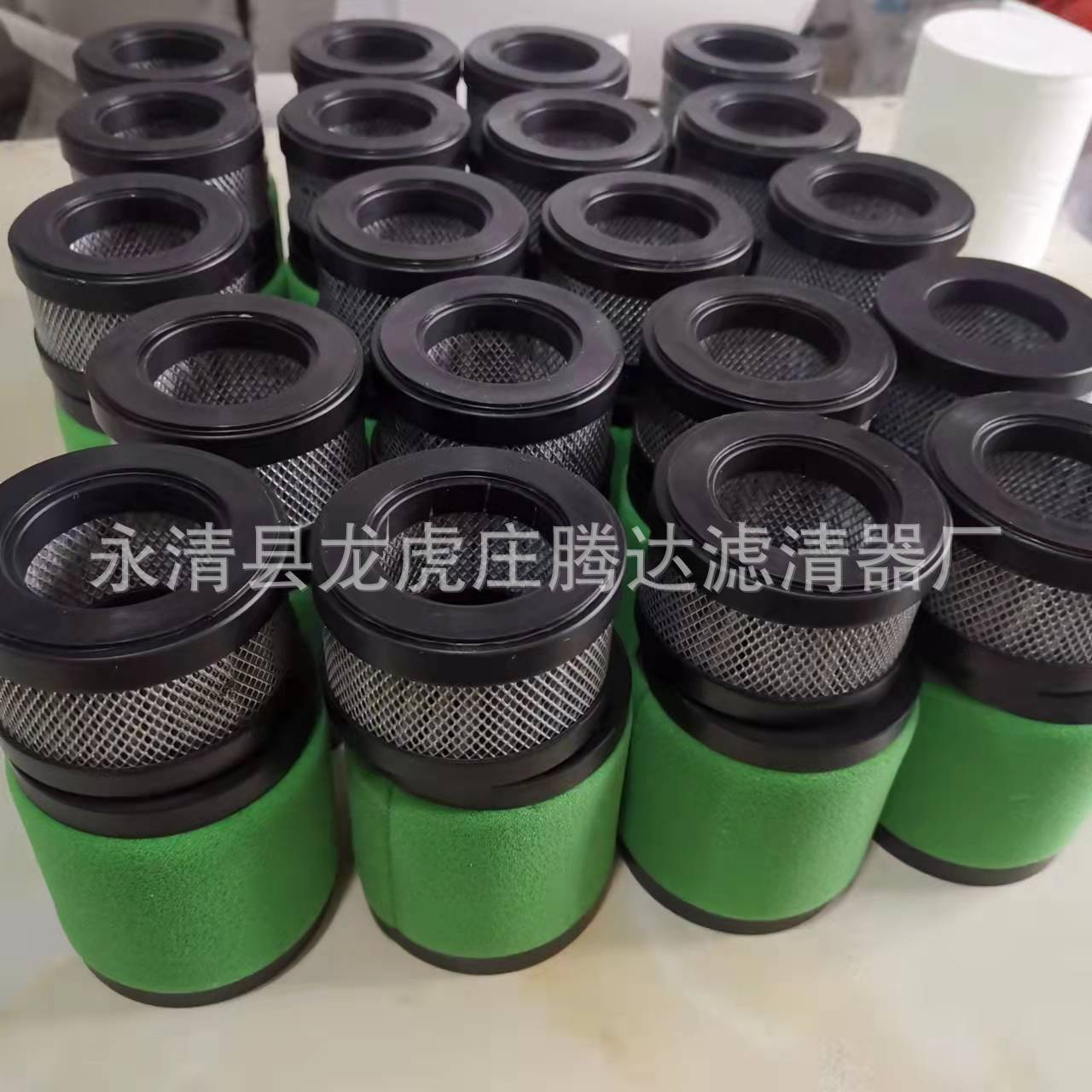 爱德华EMF20真空泵油雾分离器滤芯A22304077