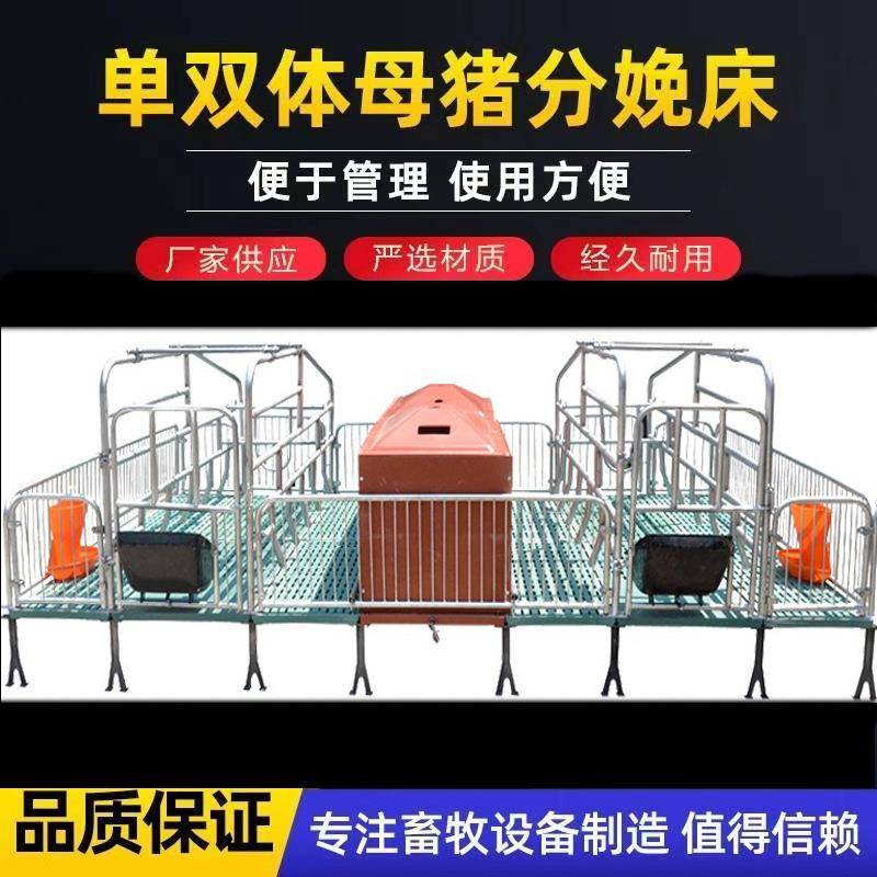 现货母猪产床加厚加宽单体双体保育床猪分娩床养殖设备定位栏