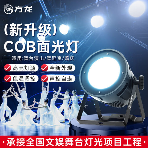 200瓦面光灯舞台表演补光灯dmx柔光灯室宴会厅婚庆正白暖色帕灯