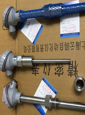 WZP-232固定螺纹锥形保护管热电阻WZP2-72A/WZP2-130