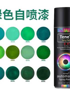 绿色喷漆450ml 墨绿玉绿草玉绿青绿邮电绿防锈油漆自喷漆