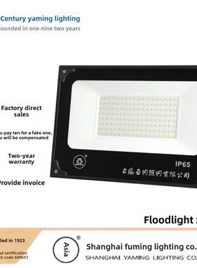 上海世纪亚明Zy609泛光灯户外防水Led照明工程场地广场体育场馆灯