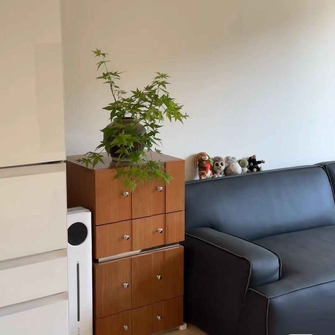 复古实木组合柜樱桃木餐边斗柜储物客厅电视柜中古现代简约床头柜