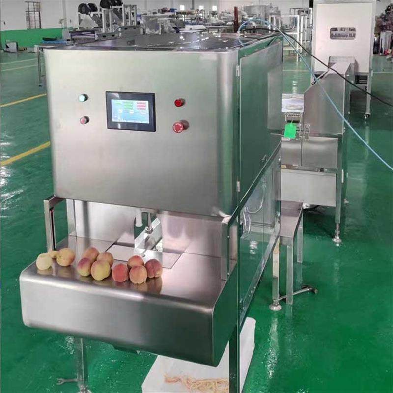 商用不锈钢苹果削皮机全自动桃子梨快速去皮设备