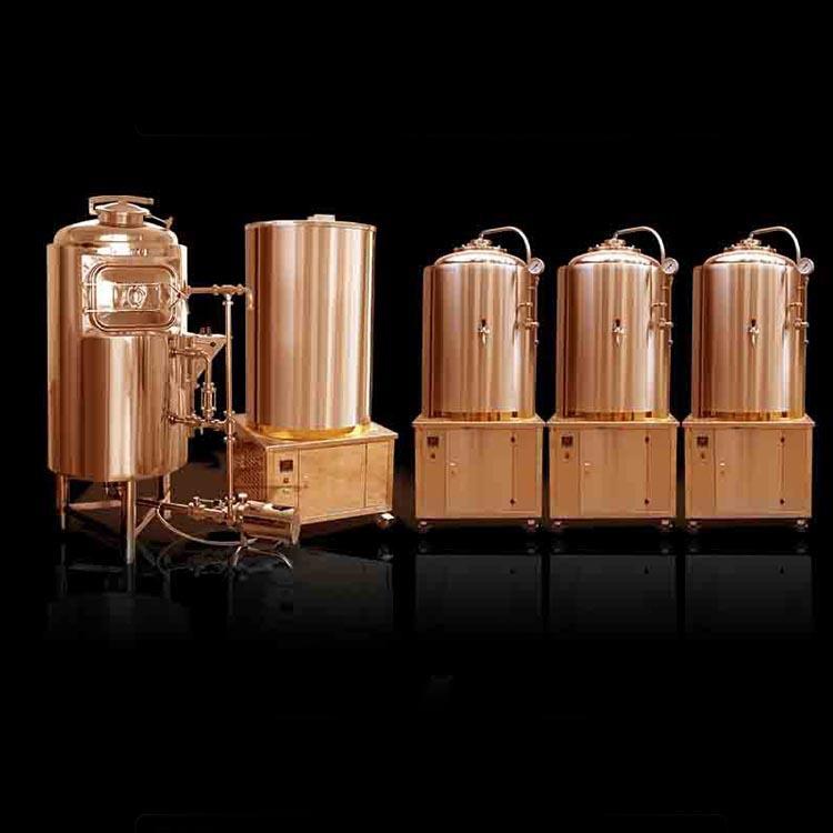 单体电镀啤酒酿制设备自酿啤酒发酵设备鲜啤酒存储设备