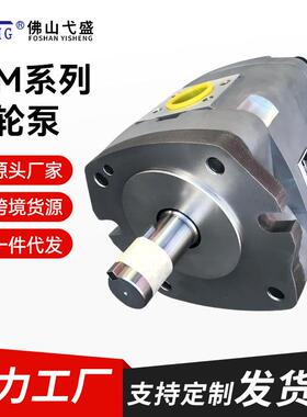 IGM-3F-10-R-204F5F6F系列电动高压变量油泵液压齿轮泵