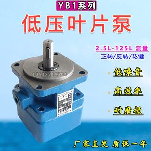 2.540101叶 2012 液压5B3 256 4油泵8片. 6Y010B