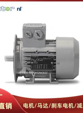 荷兰ROTOR NL电机马达电动机5RN71M02E13 6RN80M04E12