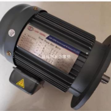 LIANCHENG齿轮减速机LIANCHENG电机马达WSS0.2KWGV370SGV750S