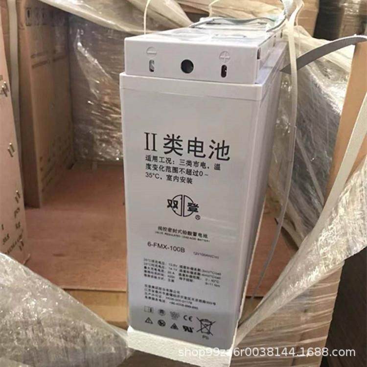 双登狭长型蓄电池6-FMX-20012V200AH通信基站机柜电池太阳能