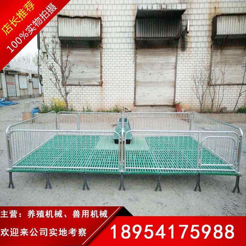 直销猪保育床复合仔猪保育母猪产床定位栏限位栏双体保育栏现货