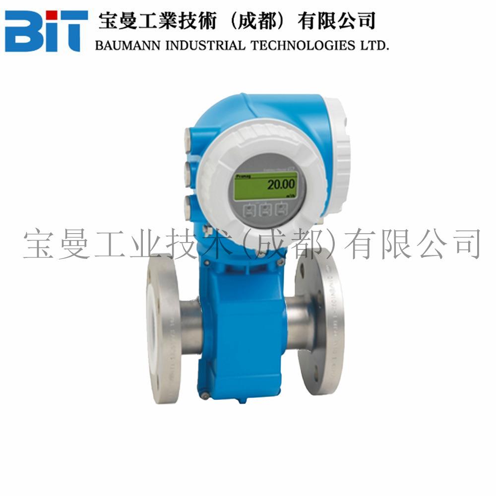 E+H恩德斯豪斯P300耐高温/腐蚀双向测量电磁流量计5P3B质量流量计