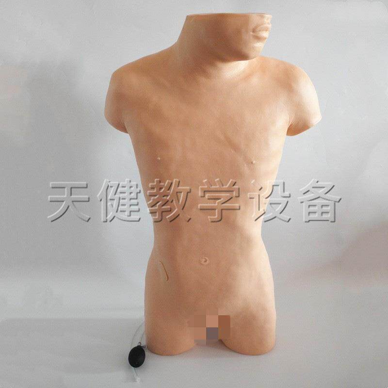 TJ/CK813T腹部移动性浊音叩诊与腹腔穿刺训练模型腹腔穿刺模型
