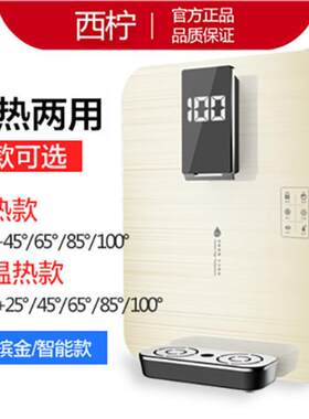 管线机家用厨房直饮净水过滤冰热智能调温速即热壁挂式饮水机外贸