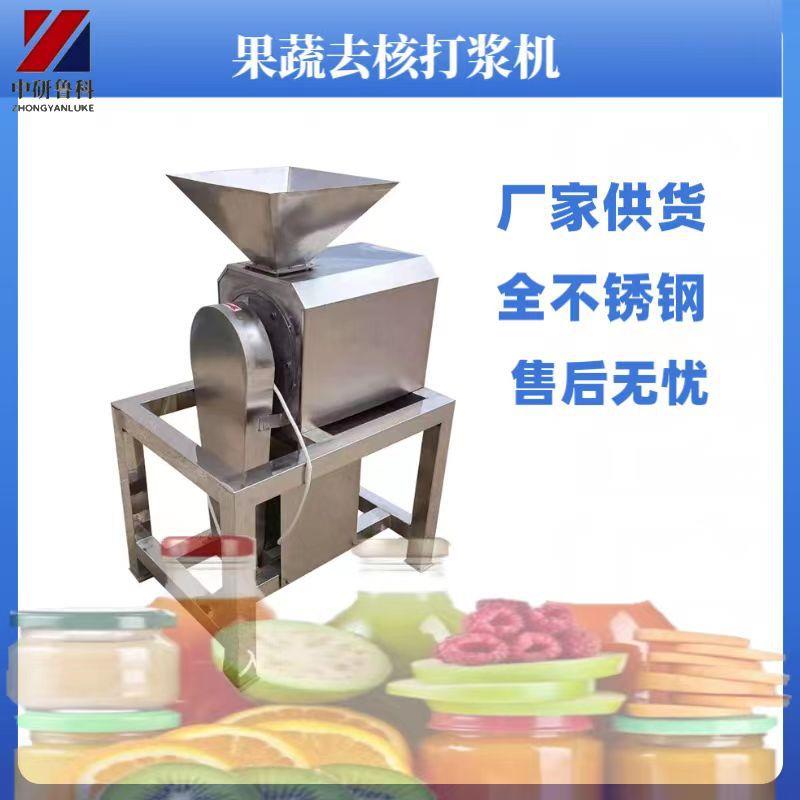 红枣去核打泥机工业不锈钢李子去核打浆机樱桃芒果去渣打浆机