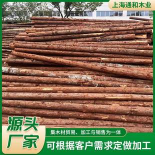 杉木桩河道打桩木绿化支撑杆落叶松油松户外防汛带皮原木桩