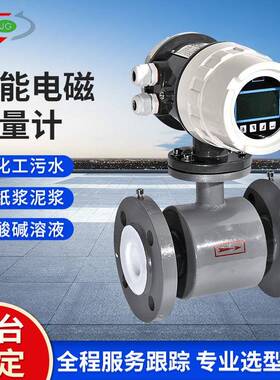 污水污泥电磁流量计专用LDG灰色壳体标准表一体式智能大流量