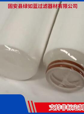 PALL颇尔ME3310CPN20H水滤芯