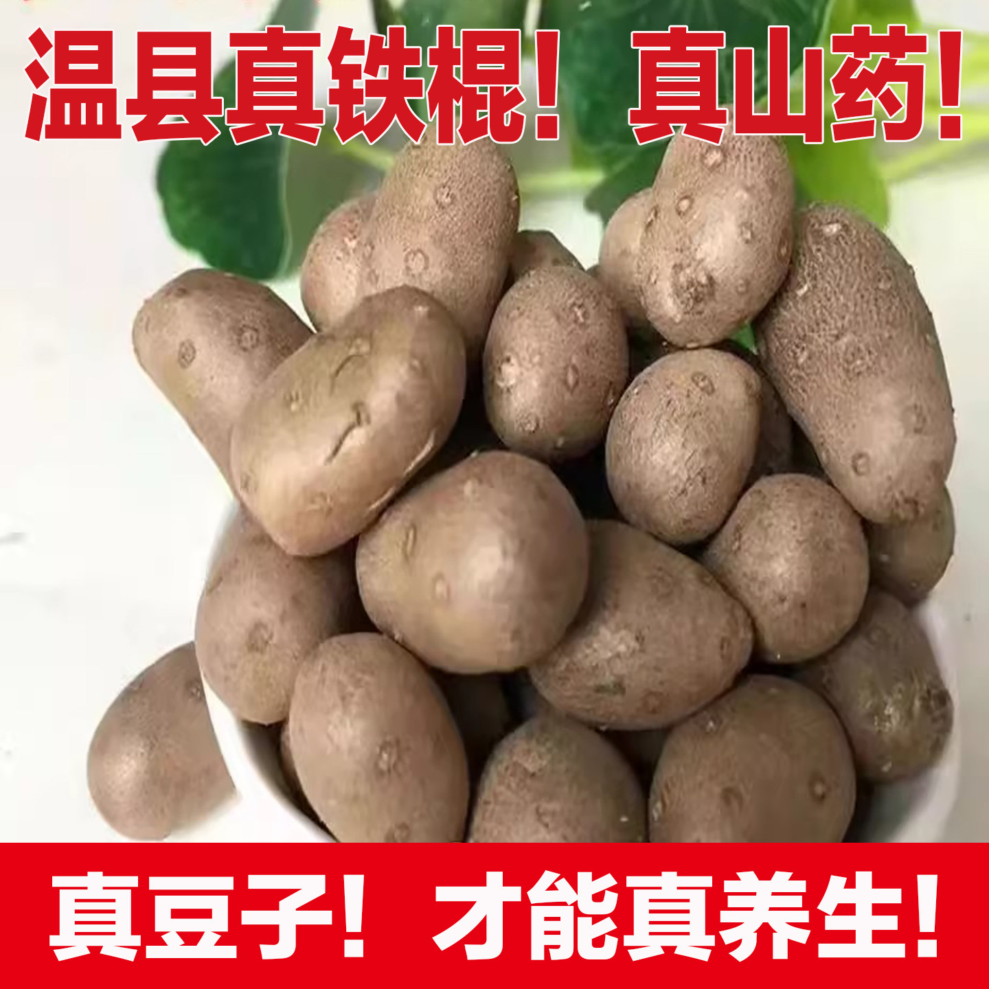 五五家铁棍山药豆温县铁棍怀山药垆土山药蛋豆香甜粉糯大果怀山药