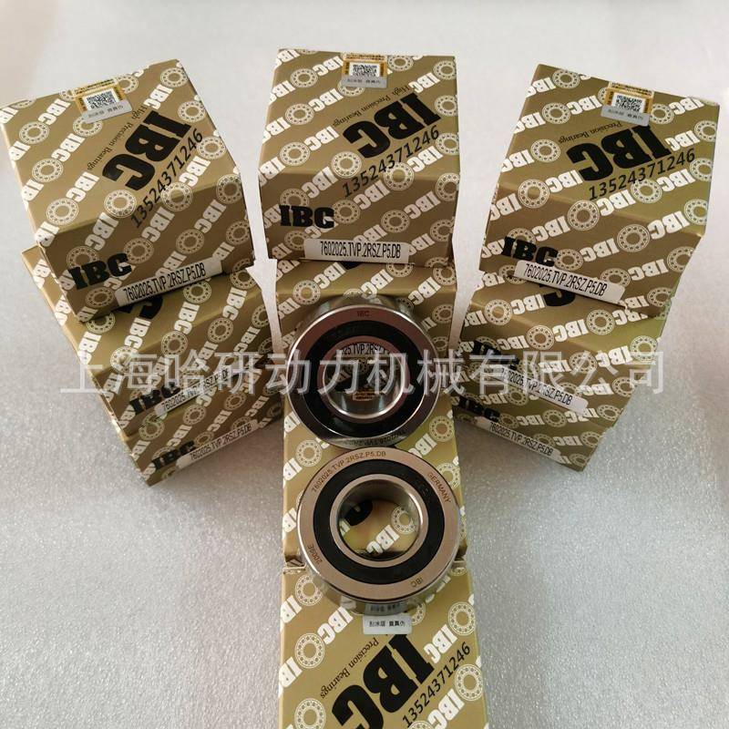 德国IBC原装7602025.TVP.2RSZ.P5.DB7602025.TVP.2RSZ.P4.UL轴承