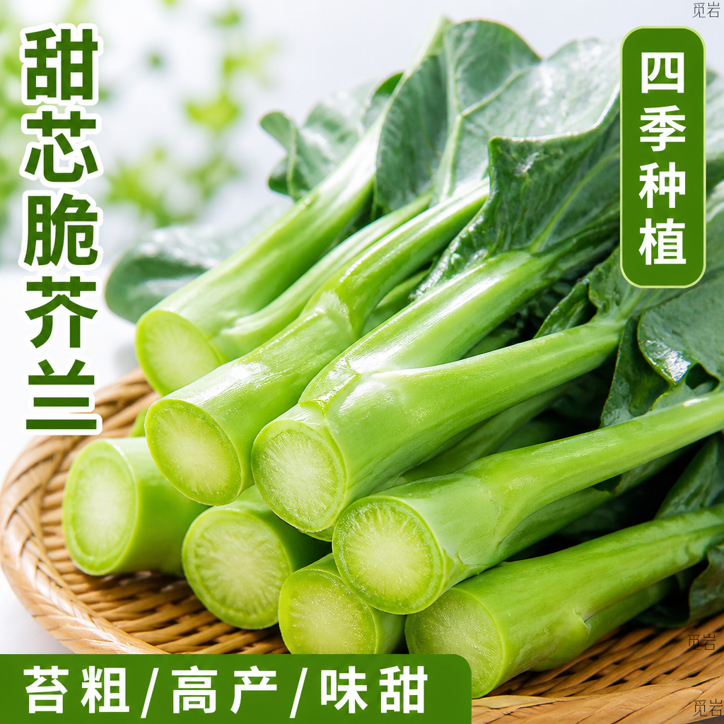 甜芯绿芥蓝种子四季播耐热耐寒
