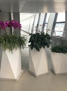 玻璃钢花盆组合商场酒店售楼处花钵广场简约落地种植箱室外大花箱