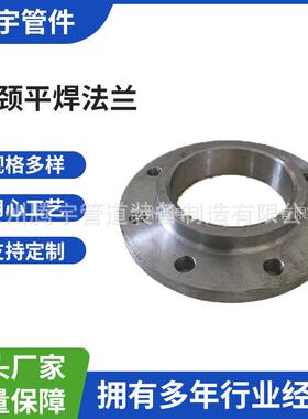 304不锈钢带颈平焊法兰PN25(2.5MPa)SO-RFS3040806Cr19Ni10