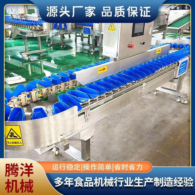 转盘式分拣机重量分选机琵琶腿分拣机全自动称重分选设备,清洗/食品/商业设备,其他食品加工设备,淘宝优惠券,粉丝福利购,淘宝优惠卷