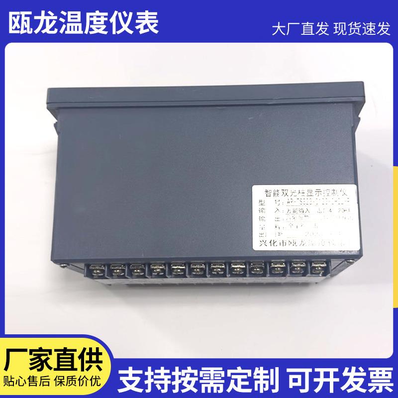 温度液位显示仪表供应TS82双回路温度液位压力测控仪