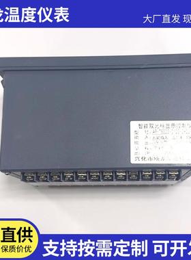 温度液位显示仪表供应TS82双回路温度液位压力测控仪