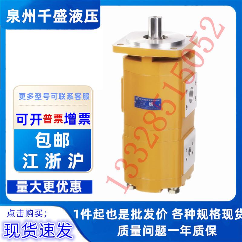 合肥长源双联齿轮油泵CBG2080/2063-BFP BFH 液压齿轮泵2080/2040