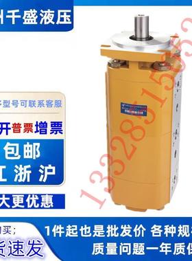 CBPa63/50/32-BFP合肥长源三联齿轮工程机械油泵CBPa63/50/40-BFP