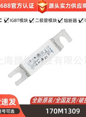 170M1309170M1310170M1312直流熔断器型号齐全电子元器件