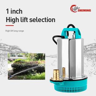 直流泵1寸12v24v48v60v72v大流量高扬程太阳能潜水泵