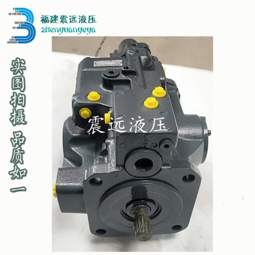 柱塞泵总成A10VD43SR1RS5-962-2液压泵A10VD43A10VE43主泵