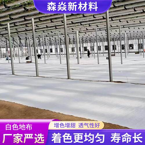 pp色防FFK草布抗老化布反光遮草布pe大棚除温草室果园种白植农用