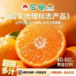 【顺丰包邮|坏果包赔】新余蜜桔现摘新鲜水果小橘子当季蜜橘10斤