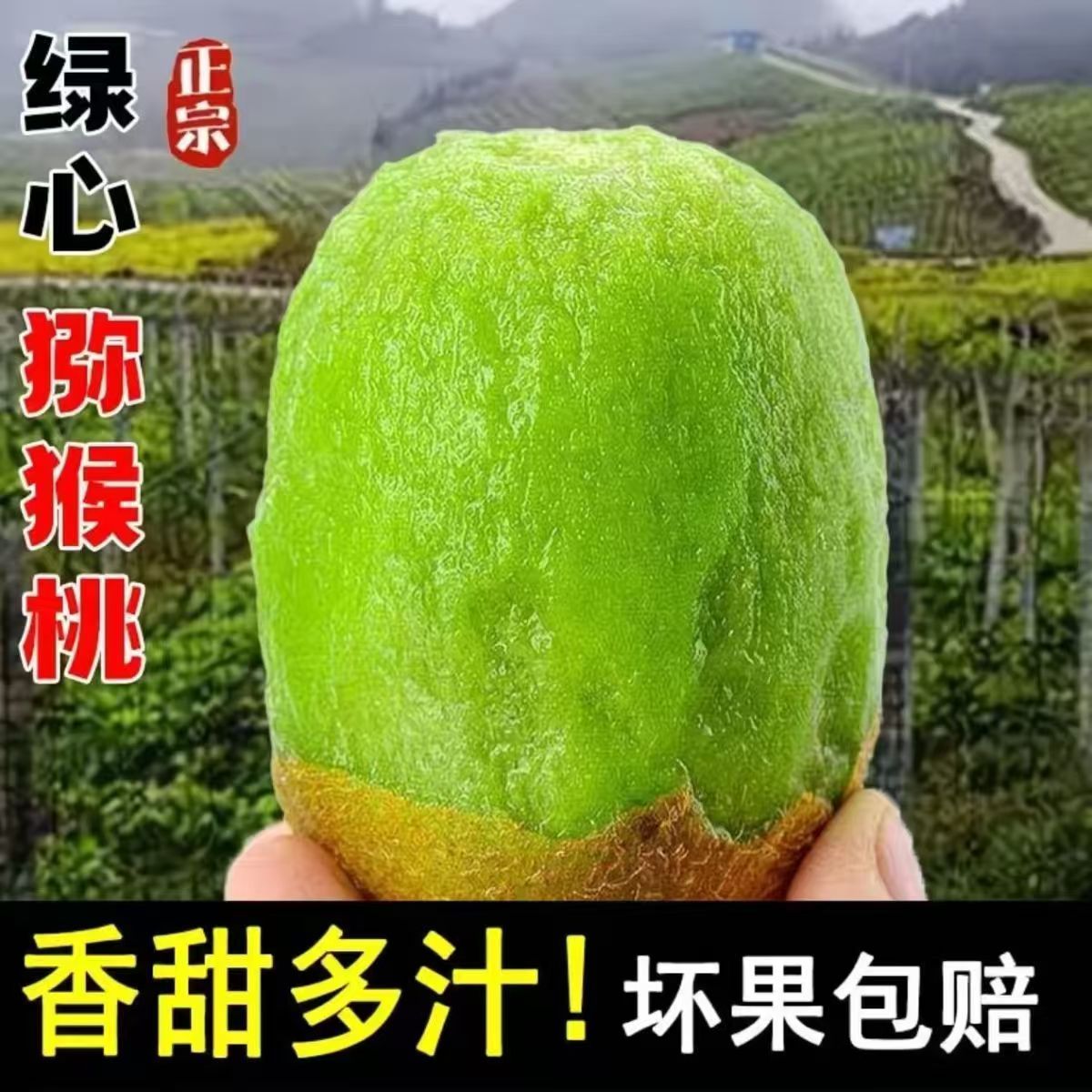 商超同款绿心酸甜猕猴桃新鲜现摘