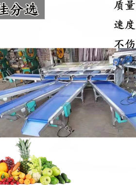 砂糖橘分级机 干果选果机 桂圆筛选机 牛油果分选机 分选机器