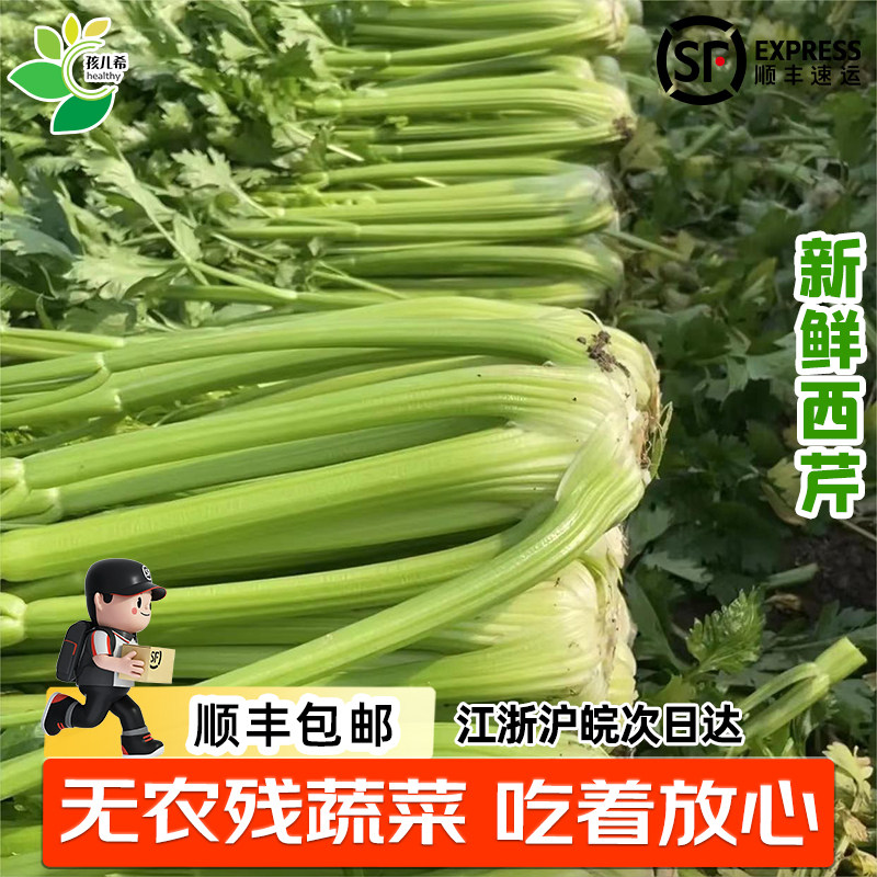 孩儿希 新鲜西芹芹菜带叶当季榨汁凉拌沙拉生态无农残蔬菜顺丰,水产肉类/新鲜蔬果/熟食,叶菜类,淘宝优惠券,粉丝福利购,淘宝优惠卷