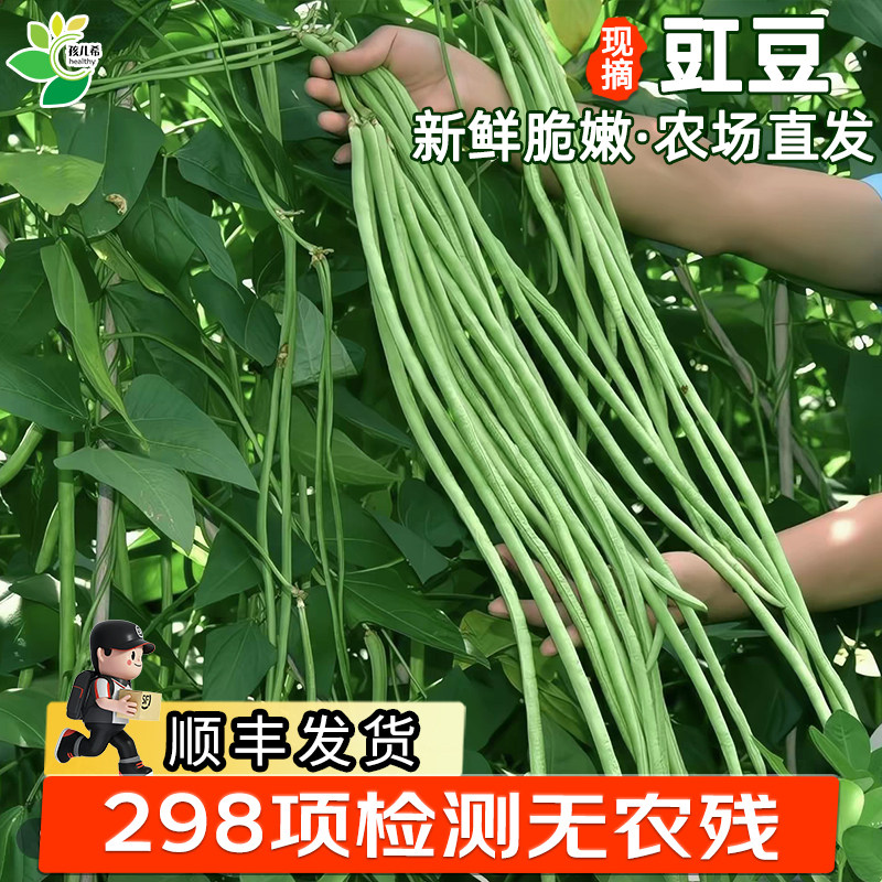 孩儿希 新鲜豇豆现摘当季脆嫩长豆角豆橛子可腌制无农残蔬菜顺丰