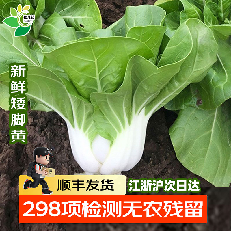 孩儿希 矮脚黄青菜白菜现摘冬季时令蔬菜无农残火锅南京顺丰发