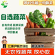 自选满8份 包邮 孩儿希 新鲜蔬菜青菜西芹当季 现摘食材无农残留
