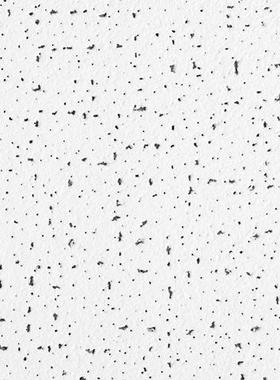 【折扣价】Armstrong阿姆斯壮美天矿棉吸音天花板矿棉板吊顶矿棉