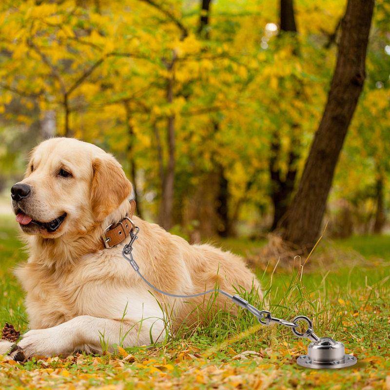 栓狗桩防挣脱不锈钢地桩狗狗固定器宠物户外固定桩钢丝牵引绳用品