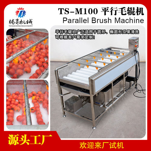 高压喷淋生蚝清洗机 多功能气泡喷淋清洗机价格 平行毛辊洗蚝机