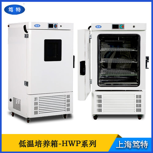 笃特DWP生化霉菌低温恒温培养箱实验室微生物 低温培养箱