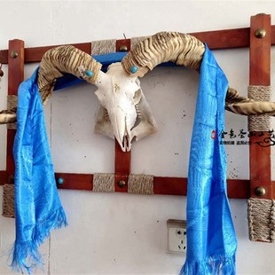 蒙古餐厅装饰木架羊头骨天然真羊头羊头骨挂饰摆件