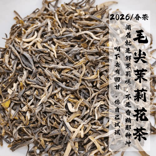 茉莉花茶毛尖新茶传统窨制清甜回甘零色素零香精口粮茶250克袋装